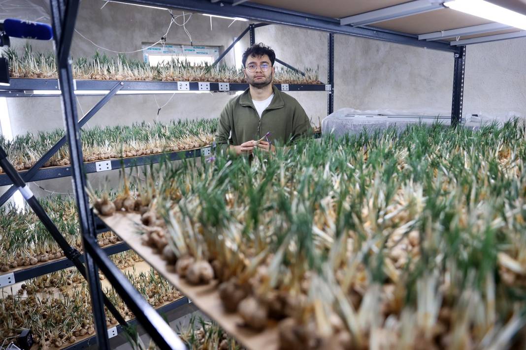Konya'daki mühendisten devrim gibi üretim! Deneme amaçlı kurdu, şimdi topraksız safran üretiyor 6